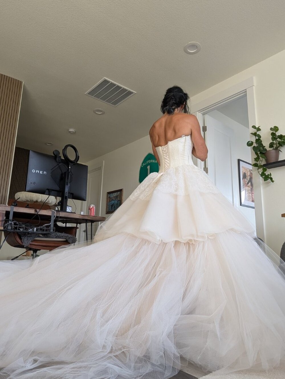 Vera Wang Couture 2017 Sigourney Wedding Ball Gown Ivory / Peach Champagne - Picture 4 of 9